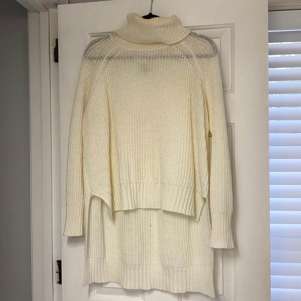 Express Turtle Neck Sweater
